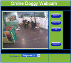 Online Doggy: Kennel cam, Webcam, Pet Care Providers, pet daycare.