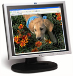 Online Doggy: Kennel cam, Webcam, Pet Care Providers, pet daycare.